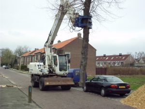 Bomen rooien Nieuwerkerk aan den IJssel